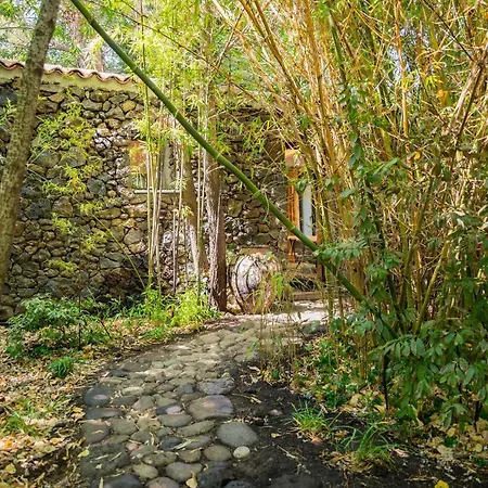 Etna Botanic Garden Apartment Mascalucia Exterior photo