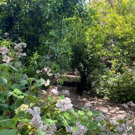 Etna Botanic Garden Apartment Mascalucia Exterior photo