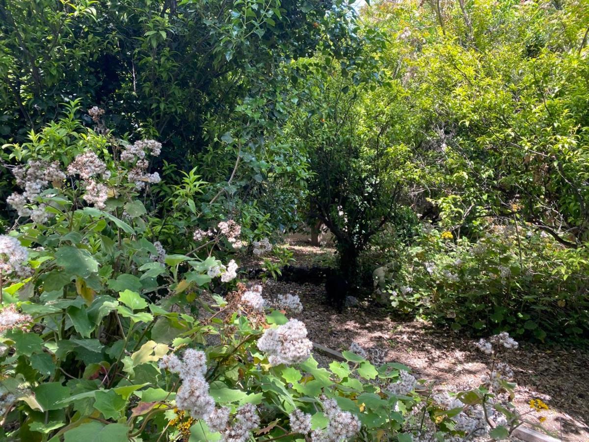 Etna Botanic Garden * Mascalucia