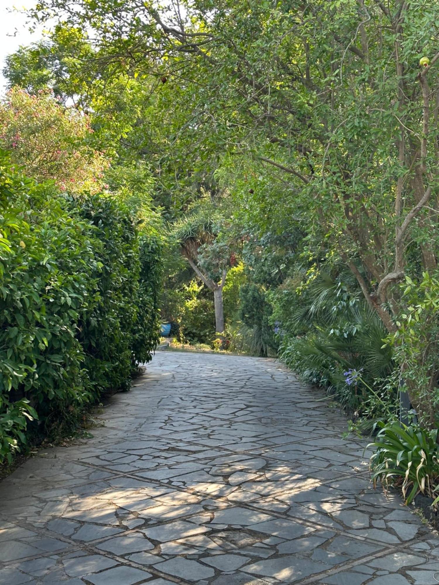 Etna Botanic Garden * Mascalucia