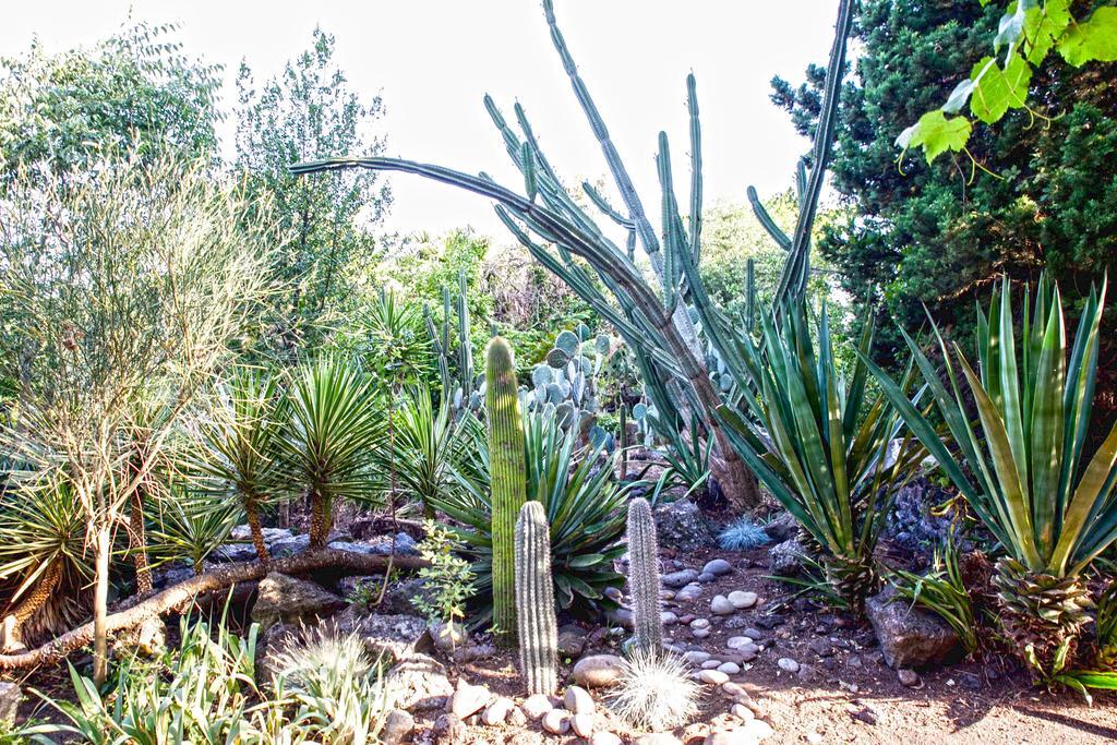 Etna Botanic Garden Mascalucia