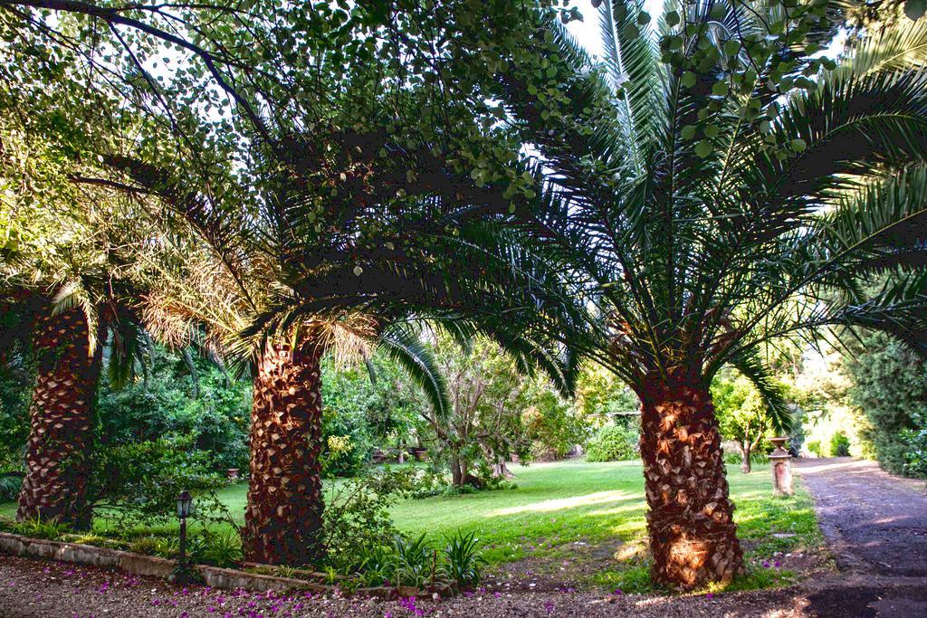 Etna Botanic Garden Mascalucia